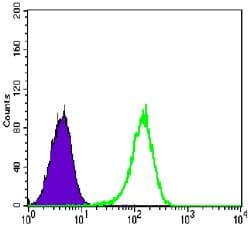 Monoclonal Mouse anti-Human NR3C1/Glucocorticoid Receptor Antibody (clone 6000000, IHC, IF, WB)