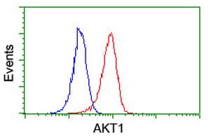 AKT1 Antibody (clone OTI3B4, Carrier-free)