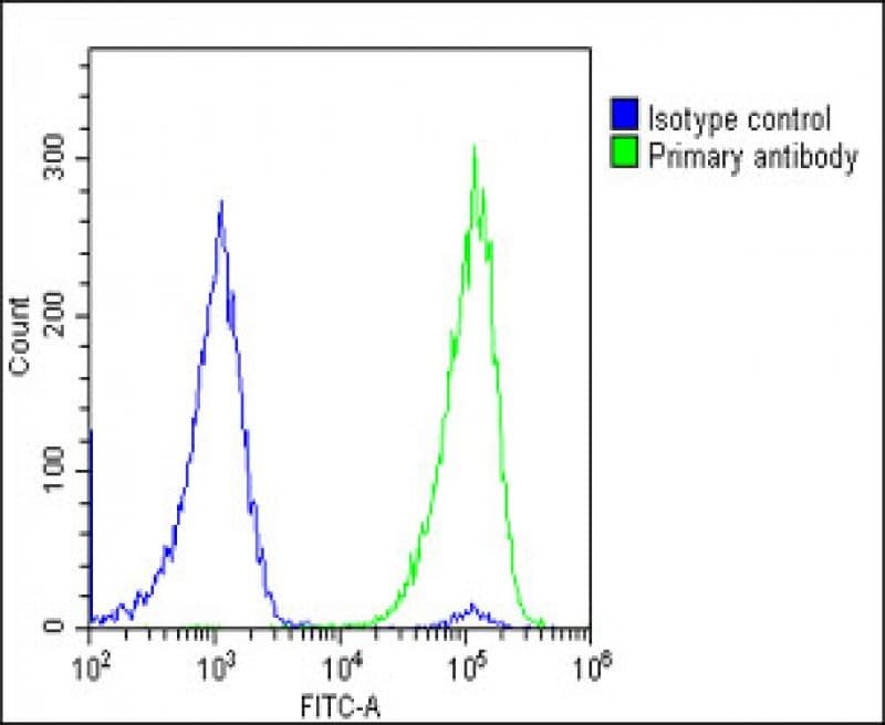 GPX7 Antibody (Internal)