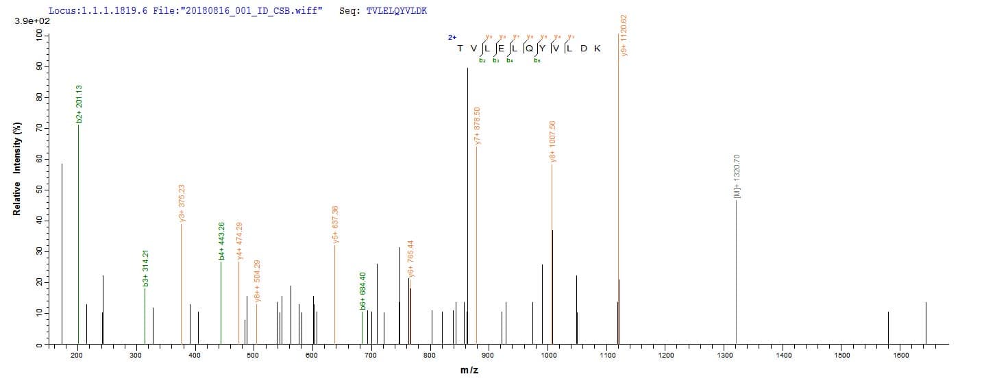 Human CAPRIN1 Protein (Recombinant 10His, N-terminus)