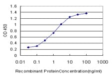 MFSD7 / MYL5 Antibody (clone 1C5)