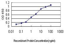 Monoclonal Mouse anti-Human ACE / CD143 Antibody (clone 6A4, WB)
