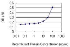 GZMA / Granzyme A Antibody (clone 4C6)