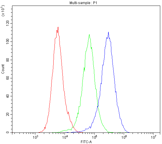 DNM1 / Dynamin Antibody
