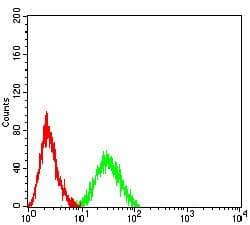 JAG1 / Jagged 1 Antibody (clone 7C7E1)