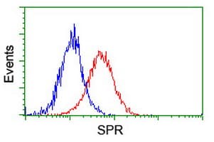 SPR Antibody (clone OTI2C6)