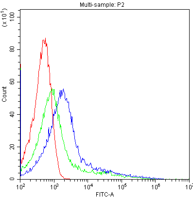 CYP1A1 Antibody (aa183-320)