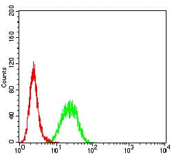 BCL2L10 / Diva Antibody (clone 8A2F9)