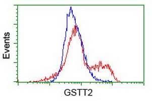 GSTT2 Antibody (clone OTI9A1)