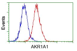 Monoclonal Mouse anti-Human AKR1A1 Antibody (clone OTI4G2, IHC, WB)
