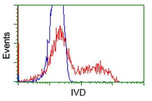 IVD Antibody (clone OTI5A11)