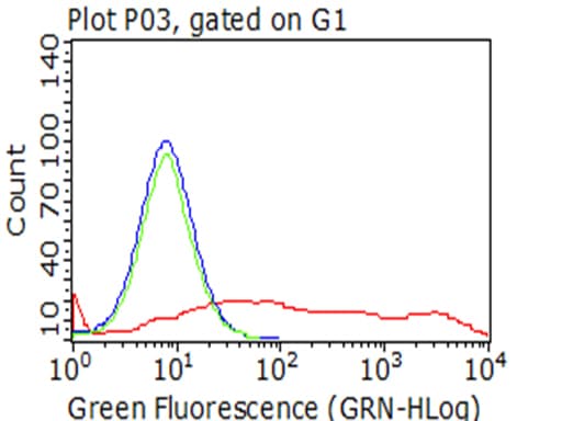 PECAM-1 / CD31 Antibody (clone UMAB32)