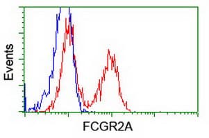 FCGR2 / CD32 Antibody (clone OTI16D6)