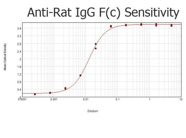 Goat Anti-Rat IgG Fc Secondary Antibody (HRP)