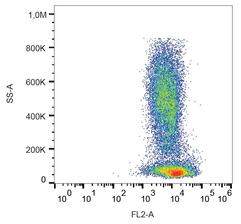 CXCR4 Antibody (clone 12G5, PE)