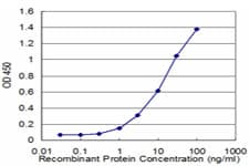 PCK1 Antibody (clone 3B12)