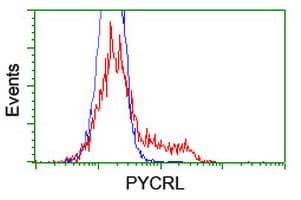 PYCRL Antibody (clone OTI3E1, Carrier-free)