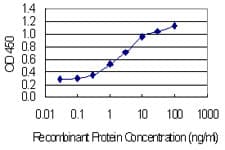 Monoclonal Mouse anti-Human HSPA8 / HSC70 Antibody (clone 1G2, WB)