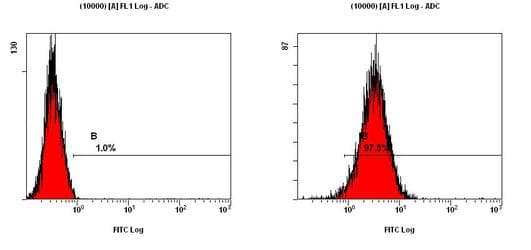 PODXL / Podocalyxin Antibody (Internal, Biotin)