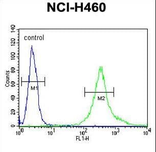 LPPR4 / PRG1 Antibody (aa666-695)