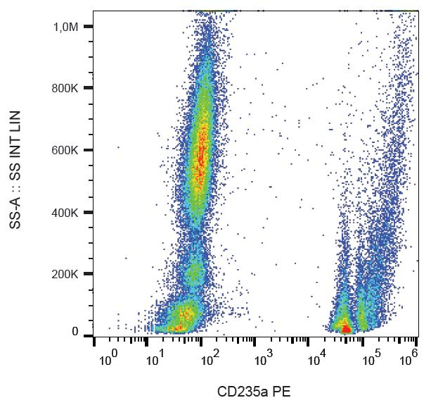 Monoclonal Mouse anti-Human GYPA / CD235a / Glycophorin A Antibody (clone HIR2, PE, N-Terminus, IHC)
