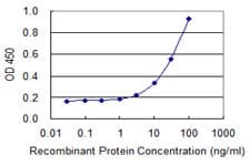 BM022 / MRPL1 Antibody (clone 2C4)