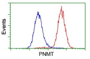 PNMT Antibody (clone OTI2A3)