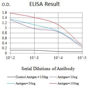 ACSS1 Antibody (clone 3A7C1)
