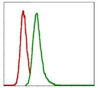 Monoclonal Mouse anti-Human G6PD Antibody (clone 5E+12, IHC, WB)