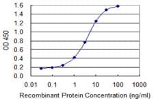 Monoclonal Mouse anti-Human LSP1 Antibody (clone 1C4, WB)