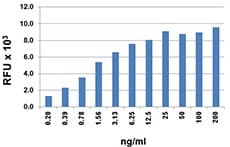 Mouse CCL21 / SLC Protein (Recombinant)