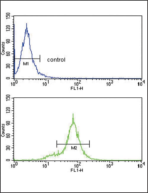 HLA-B Antibody (aa62-90)