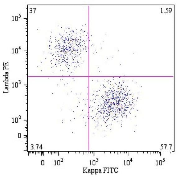 Lambda Light Chain Antibody (clone 4C2, PE)