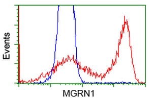 MGRN1 Antibody (clone OTI1A11)