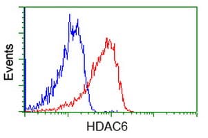 HDAC6 Antibody (clone OTI1D11, Carrier-free)
