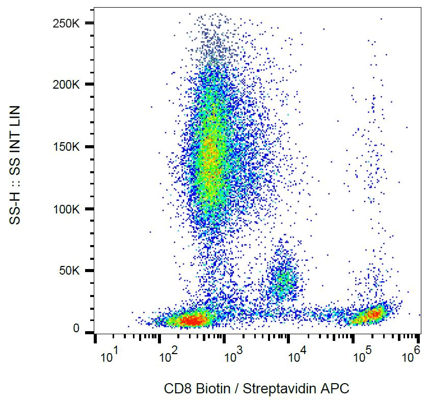 CD8 Antibody (clone MEM-31, Biotin)