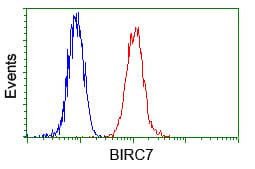 Monoclonal Mouse anti-Human BIRC7 / Livin Antibody (clone OTI1B10, IF, WB)