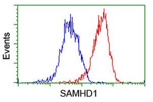 SAMHD1 Antibody (clone OTI1A1, Carrier-free)