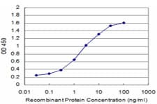 MAGEA9 Antibody (clone 1E3)