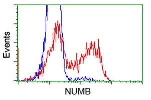 NUMB Antibody (clone OTI6B2)