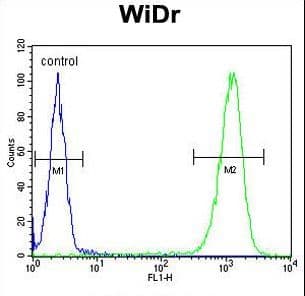 TSPAN33 / PEN Antibody (aa254-283)