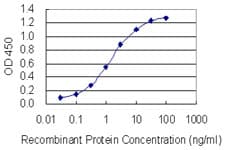 HNRNPC / HNRNP C Antibody (clone 4E8)