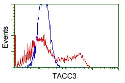 ERIC-1 / TACC3 Antibody (clone OTI1E4)