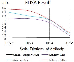 MRPL42 / MRPS32 Antibody (aa10-142, clone 3H6H2)