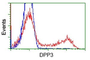 Dipeptidyl Peptidase 3 / DPP3 Antibody (clone OTI 3B5, Carrier-free)