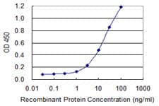 Monoclonal Mouse anti-Human ADAM2 / Fertilin Beta Antibody (clone 1B8, WB)