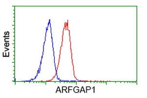 ARFGAP1 Antibody (clone OTI2C6)