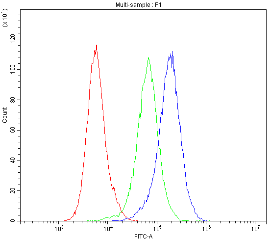CASP3 / Caspase 3 Antibody (aa67-175)