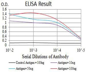 Monoclonal Mouse anti-Human CHRNA4 / NACHR Antibody (clone 7B4H1, WB)
