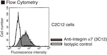 IHC-plus™ ITGA7 / Integrin Alpha 7 Antibody (clone 3C12)
